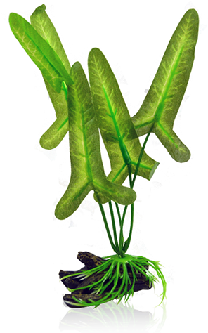 Bettacare Betta Plant Large Arrowhead - Fictional Character (311x473), Png Download