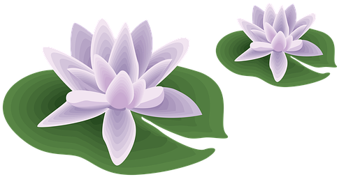 Planes De Ejercicios De Yoga Para Principiantes (640x433), Png Download