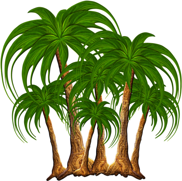 Дерева,пробки,png - Png Nature Clip Art (600x600), Png Download