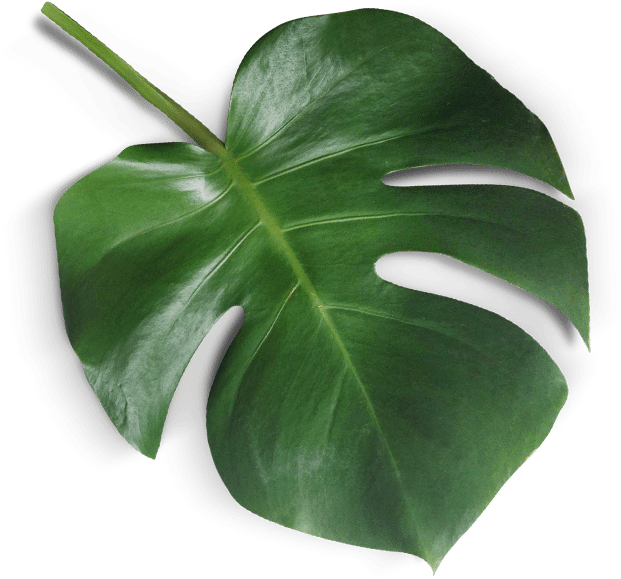 What Is Mindfresh - Teacher (717x678), Png Download