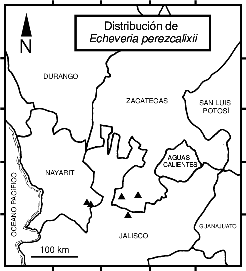 Mapa De Distribución De Echeveria Perezcalixii - Echeveria Perezcalixii (491x540), Png Download
