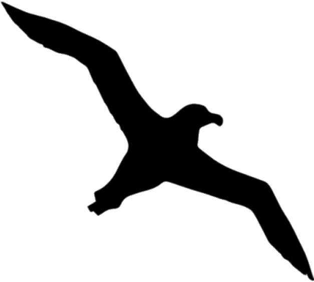 Albatross Silhouette Png - Albatross Icon (626x626), Png Download