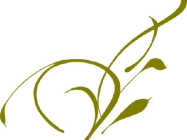 Vine Clipart Olive Green - Vine Clip Art (640x480), Png Download