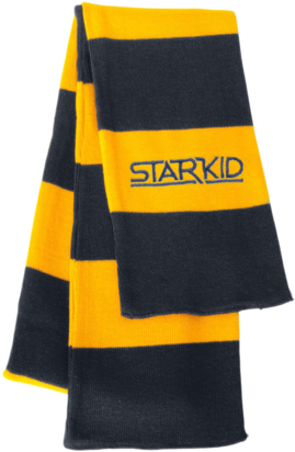 Michigan Navy And Gold Starkid Winter House Scarf - Black And Yellow Striped Scarf (360x450), Png Download