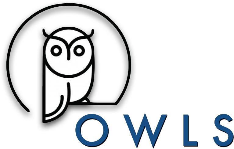 Owl Minimalist (775x518), Png Download