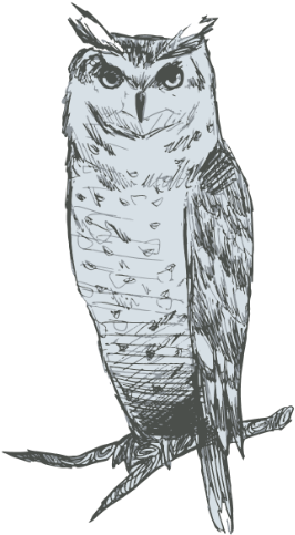 Crooked Owls02-06 - Great Horned Owl (300x625), Png Download