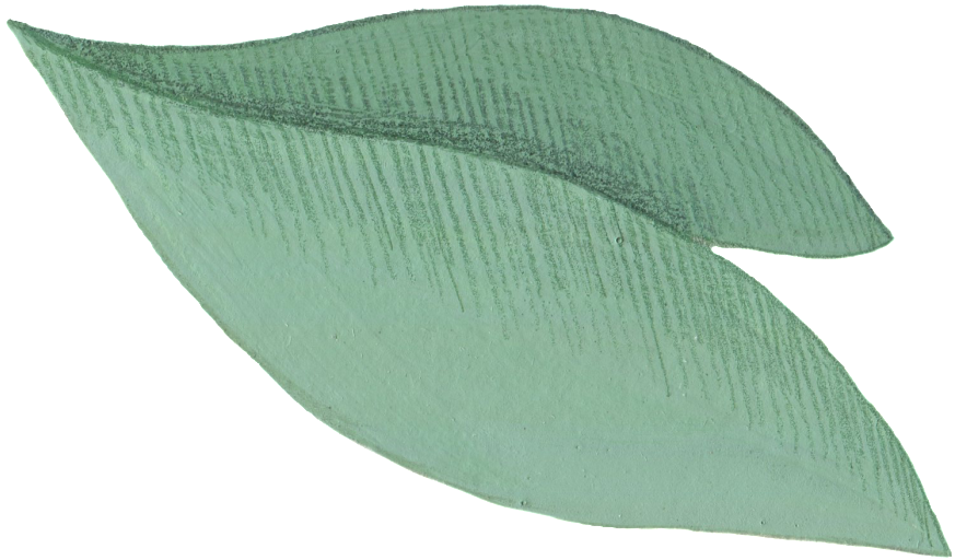 Cartoon Leaf Png - Portable Network Graphics (1024x721), Png Download