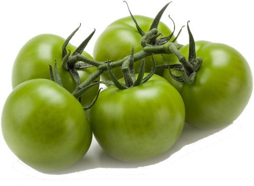 Green Vine Tomatoes - Cherry Tomatoes (800x560), Png Download