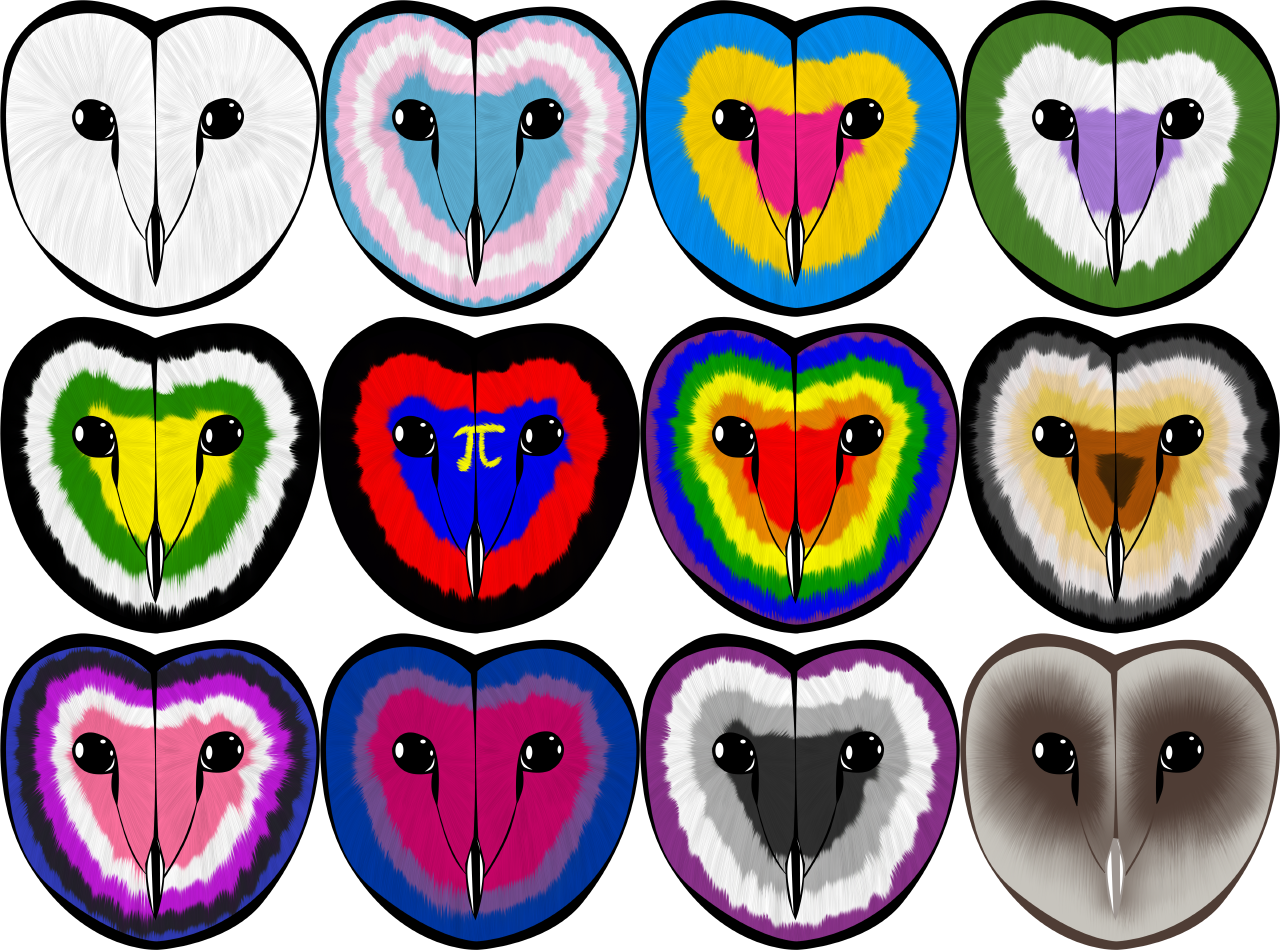 Pride Owls - Owl (1280x950), Png Download