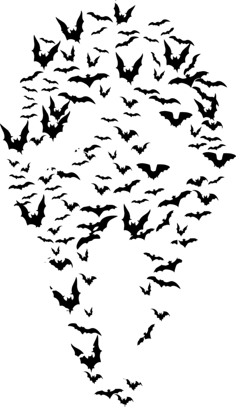 Bats Ghost Face - Flock (460x800), Png Download