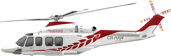 Aw9 - Heliconia Helicoptere (600x350), Png Download