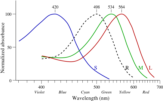 Enter Image Description Here - Rod Peak Spectral Sensitivity (550x346), Png Download