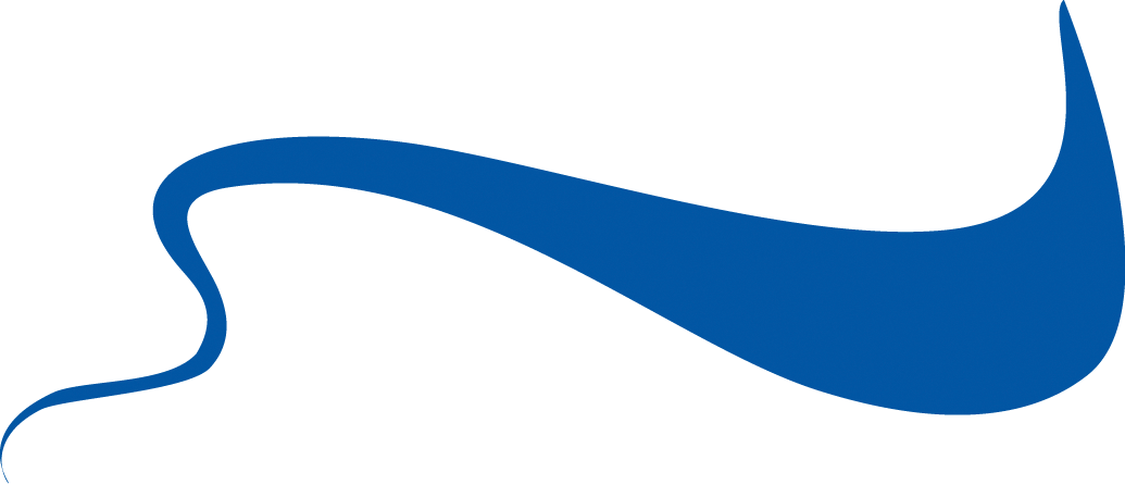 Rene Descartes - “ - Blue Swirl Png (1035x446), Png Download