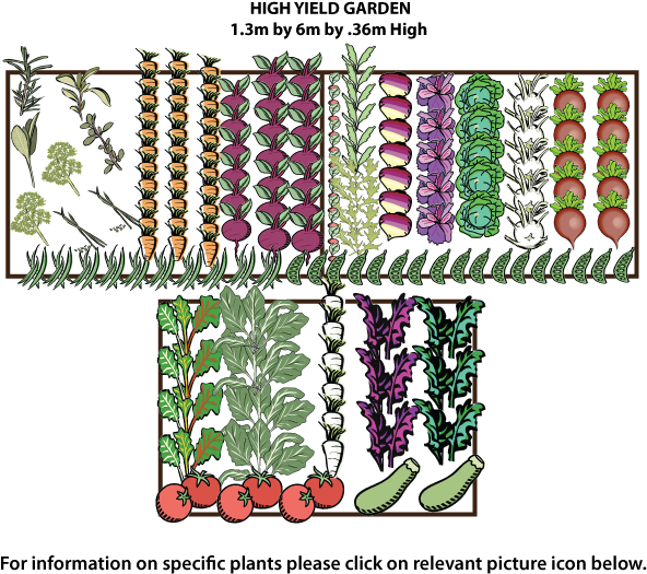 Plans For Our High Yielding Vegetable Garden - Vegetable Garden Top View Png (607x527), Png Download
