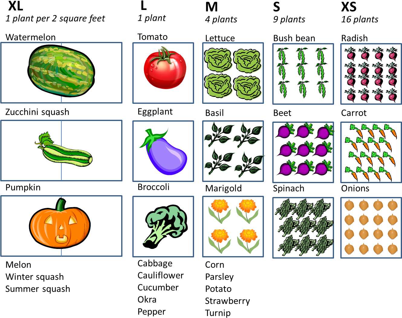 “how Much Space Do I Need For A Vegetable Garden” - Start With The Letter B (1334x1106), Png Download