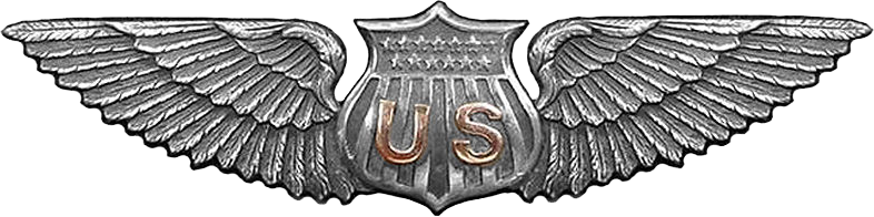 Aviator Wings Wwi Era - Us Army Wwi Aviator Wings (786x196), Png Download