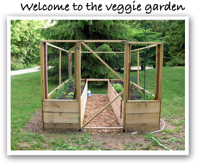 The Main Vegetable Garden That We Built Four Years - Standing Vegetable Garden (400x329), Png Download