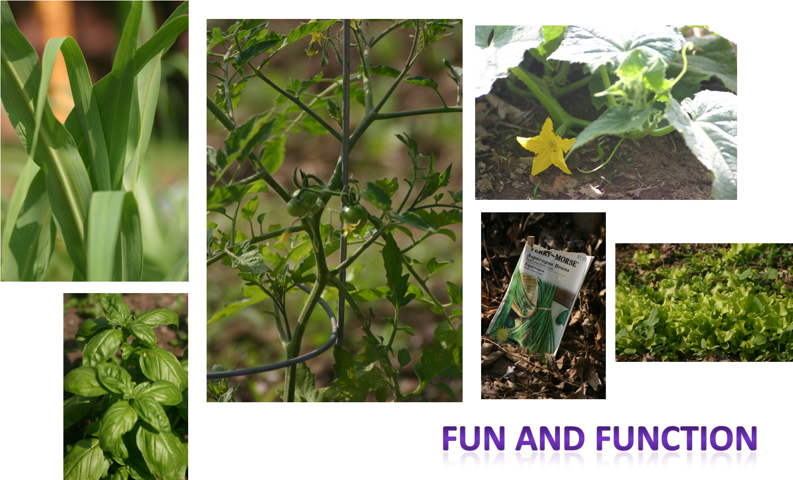 Team Home And Garden - Cag Of India (1590x1003), Png Download