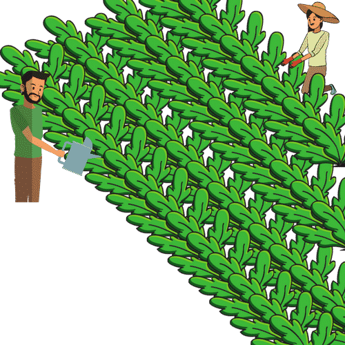 0shares - Illustration (500x500), Png Download