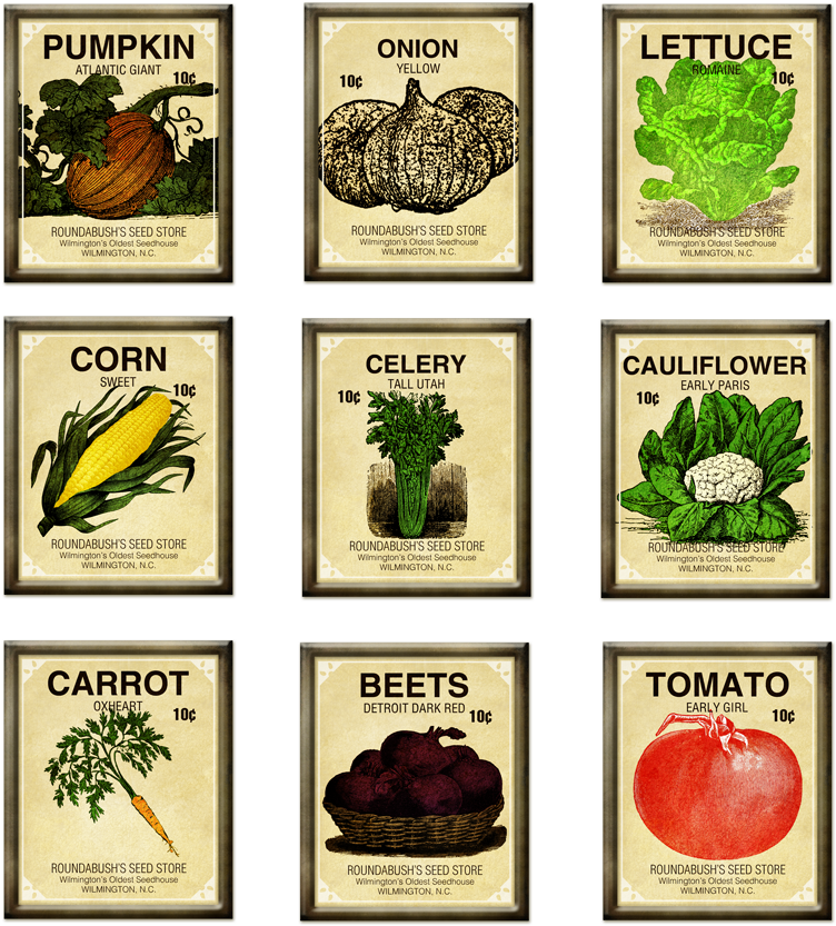 Fascinating Vegetable Garden Seeds Charming Ideas Seed - Seed Packet (900x900), Png Download