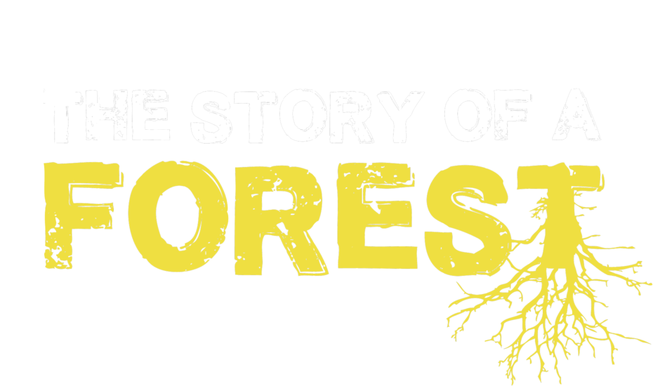 The Story Of A Forest Logo Web - The Dark Forest (1000x600), Png Download