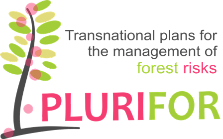 Logo Text Eng Websize (448x279), Png Download