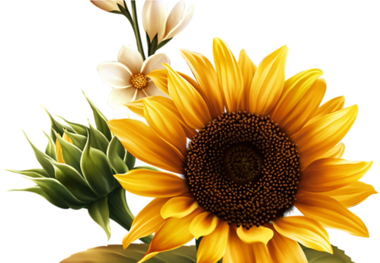 Kwiaty Png / Flowers Png - Sunflower Flag Clipart (1368x855), Png Download