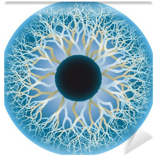 Human Eye (400x400), Png Download