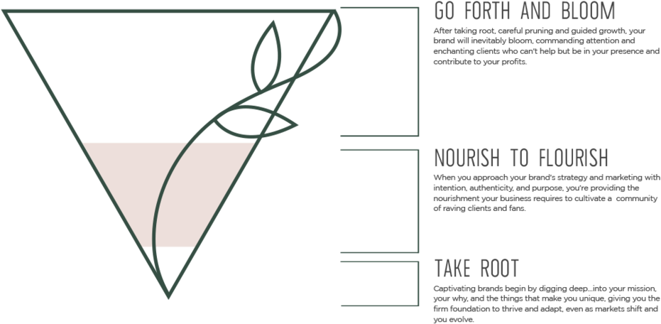 Root To Petal Creative Process - Portable Network Graphics (1000x583), Png Download