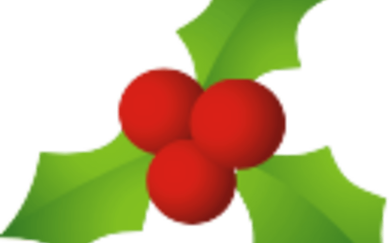 Transparent Christmas Mistletoe Garland With Flowers - Christmas Mistletoe (1368x855), Png Download