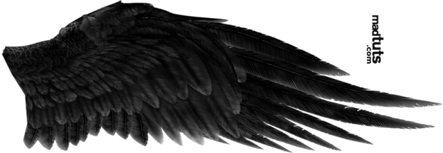 Wings Angel Wing - Dark Angel Wings (640x221), Png Download