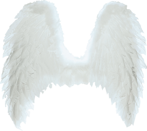 White Angel Wings Png - Ангельские Крылья Для Фотошопа (499x445), Png Download