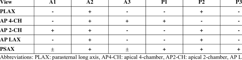 Observed Scallop In Each 2d Echocardiographic Views - Nurikabe (850x213), Png Download