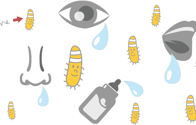 Tear Clipart Saliva - Lisozima (640x480), Png Download