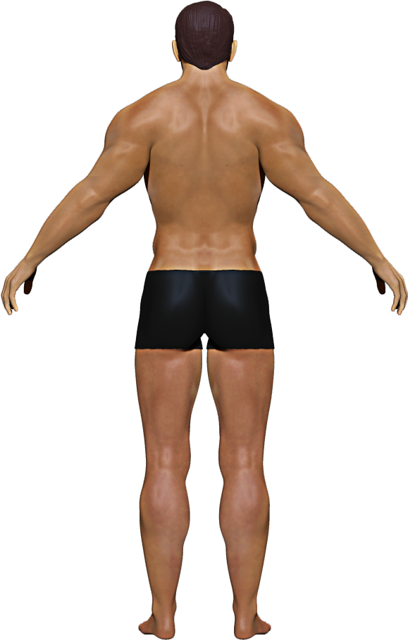Omni1 - Standing (600x930), Png Download