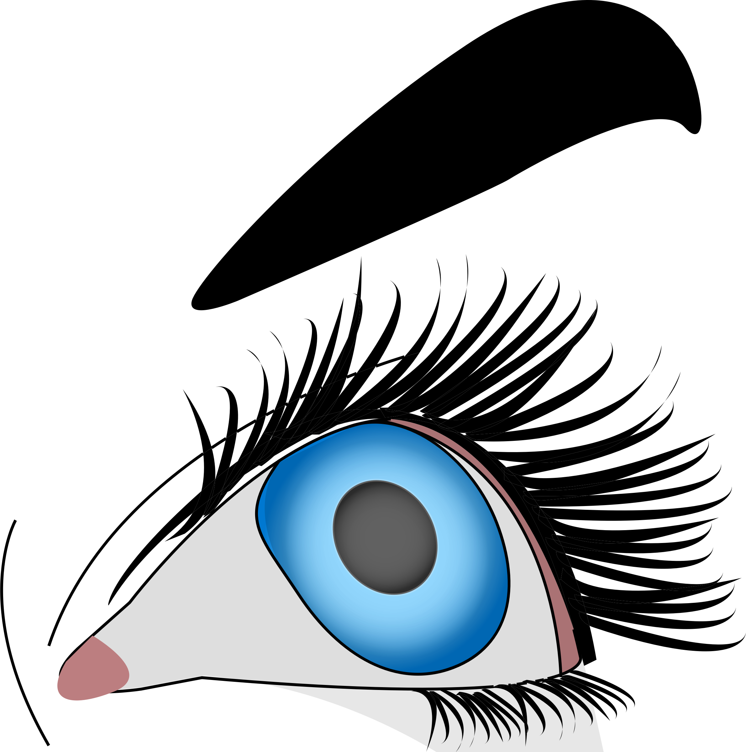 Avec A Vue Blue Eyes Makeup Of A Woman Looking With - Oeil Clipart (794x800), Png Download
