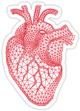 Dna Helix Conformation Print A Form B Form And Z Form - Anatomical Heart Vector Png (375x360), Png Download