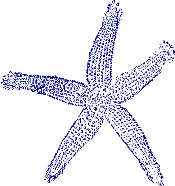Original Png Clip Art File Starfish Svg Images Downloading (564x599), Png Download