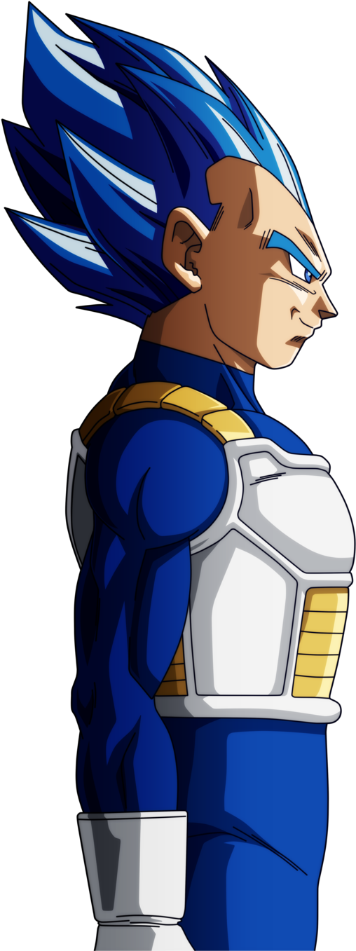 Dragon Ball Super - Vegeta New Form Blue (578x1383), Png Download