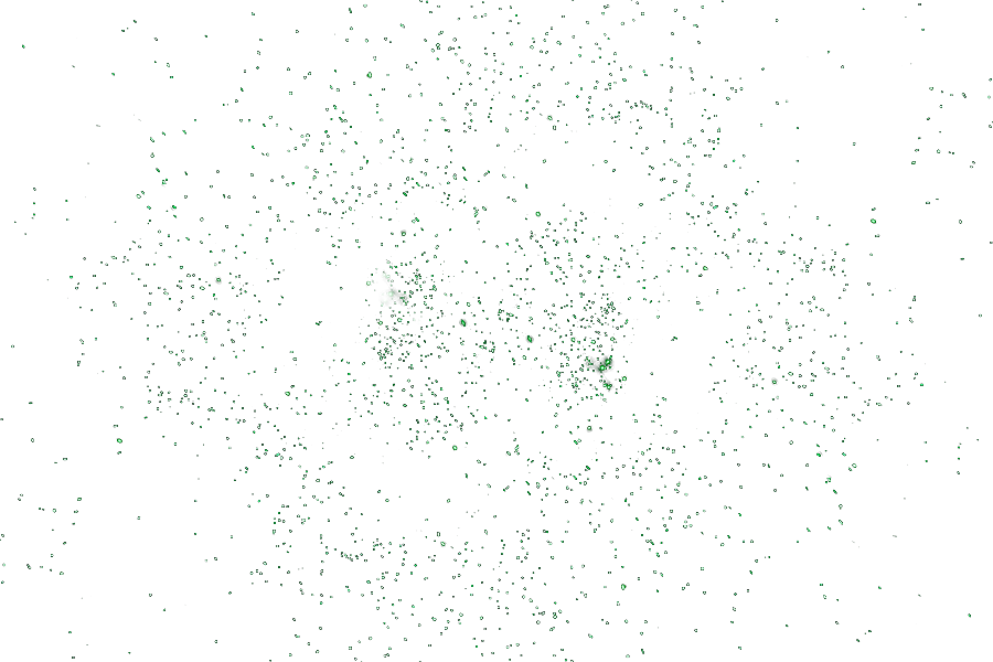 Bird (900x600), Png Download