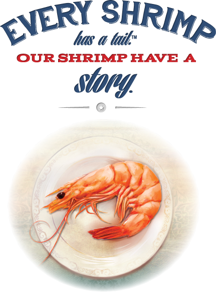 Why American Shrimp - American Shrimp (431x582), Png Download