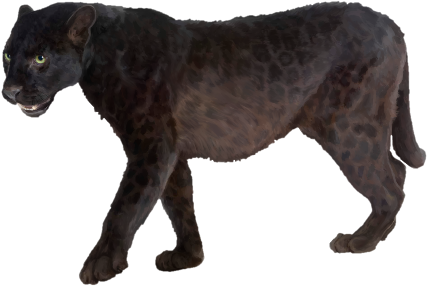 Panther Png Transparent Picture - Panther Png (900x644), Png Download