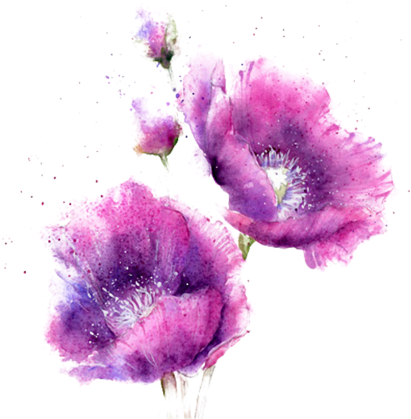 Largest Collection Of Free To Edit Flower@mummabear12 (480x480), Png Download