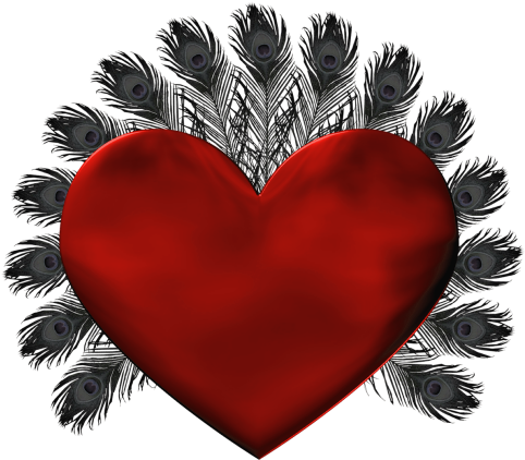 Red Heart With Black Feathers Png Clipart - Aalo Qosol Badan (500x438), Png Download