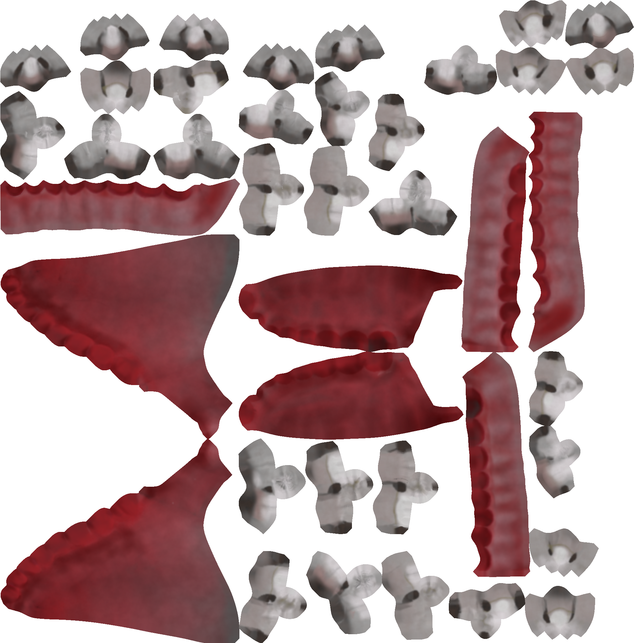 Teeth - Illustration (2048x2048), Png Download