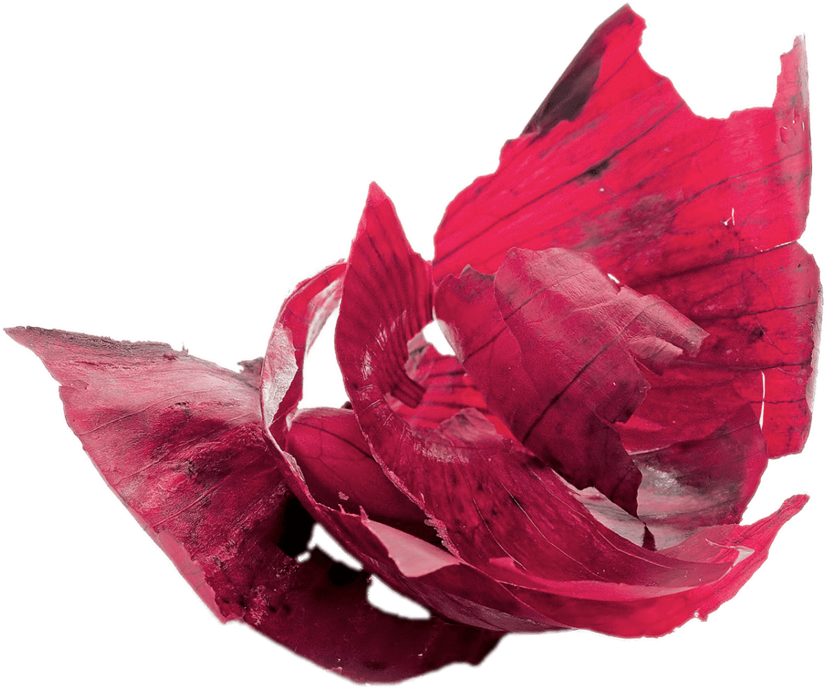 Download - Onion Peels Png (1920x1215), Png Download