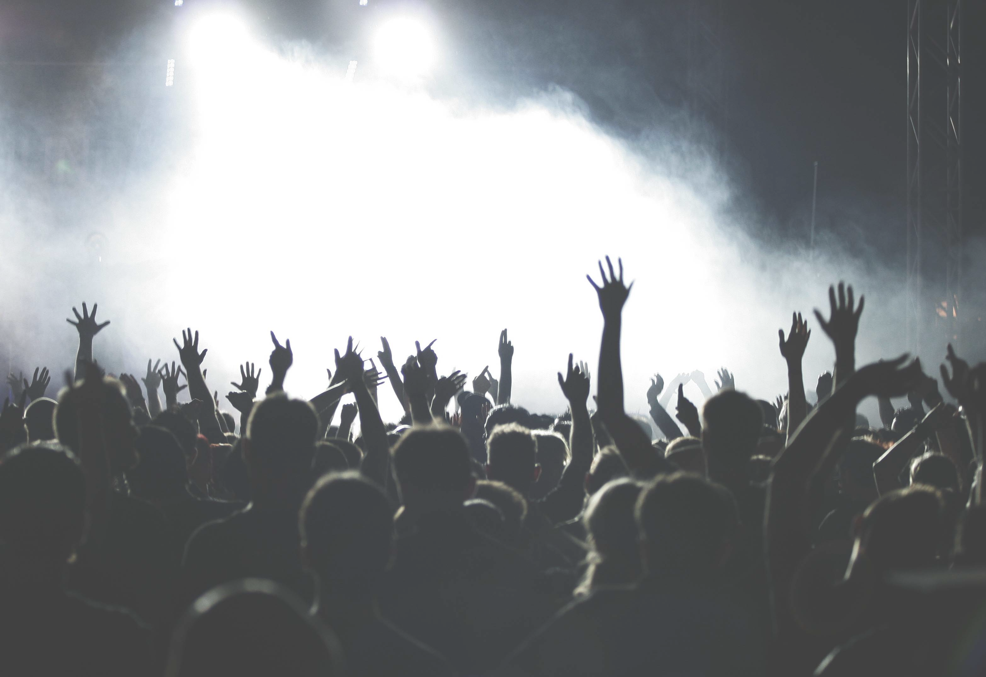 Crowd At Concert - Concert Crowd (3132x2151), Png Download