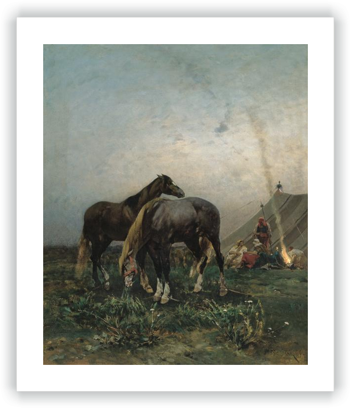 Arab Camp - Photography (690x800), Png Download