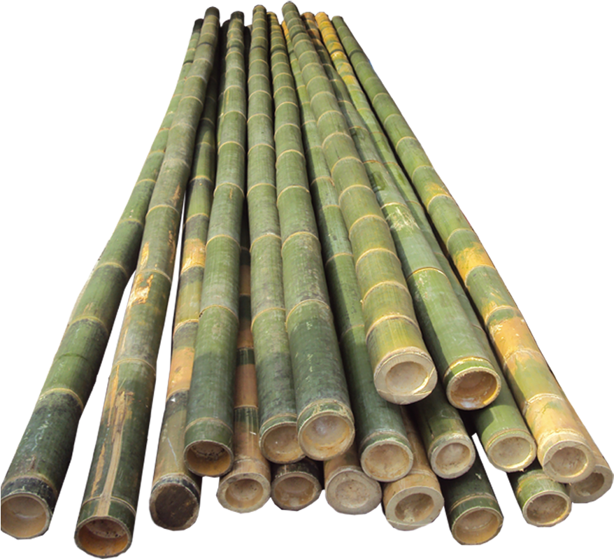 Bamboo Half Cut - Bamboo Pole Vault Poles (900x800), Png Download