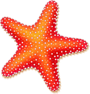 Starfish Clipart Best - Clip Art (383x400), Png Download